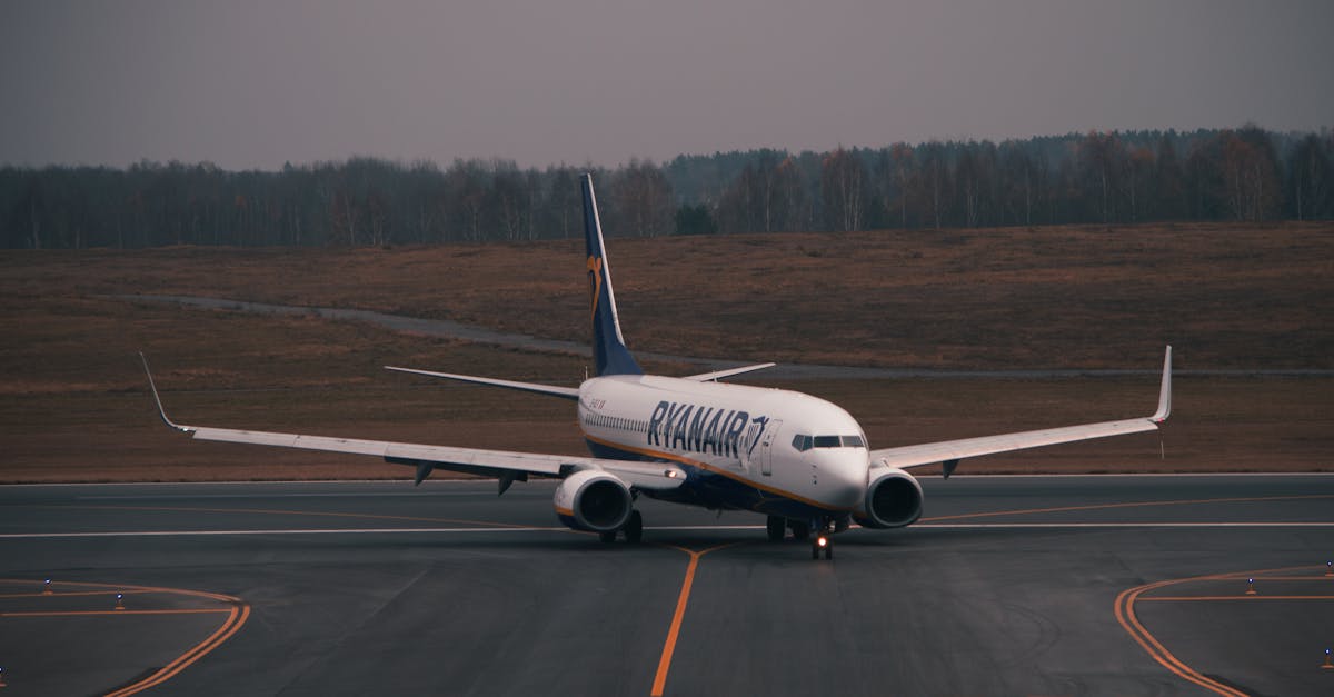 découvrez les winglets, ces dispositifs innovants qui améliorent l'aérodynamisme des avions. apprenez comment ils réduisent la consommation de carburant et augmentent l'efficacité en vol, tout en assurant un confort optimal.