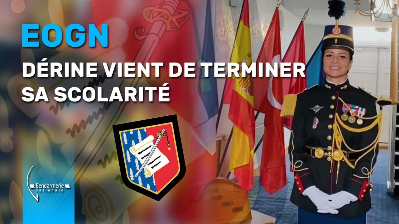 discover how to become an air gendarmerie officer in France. learn about the admission conditions, training pathway, and career opportunities within this prestigious institution.